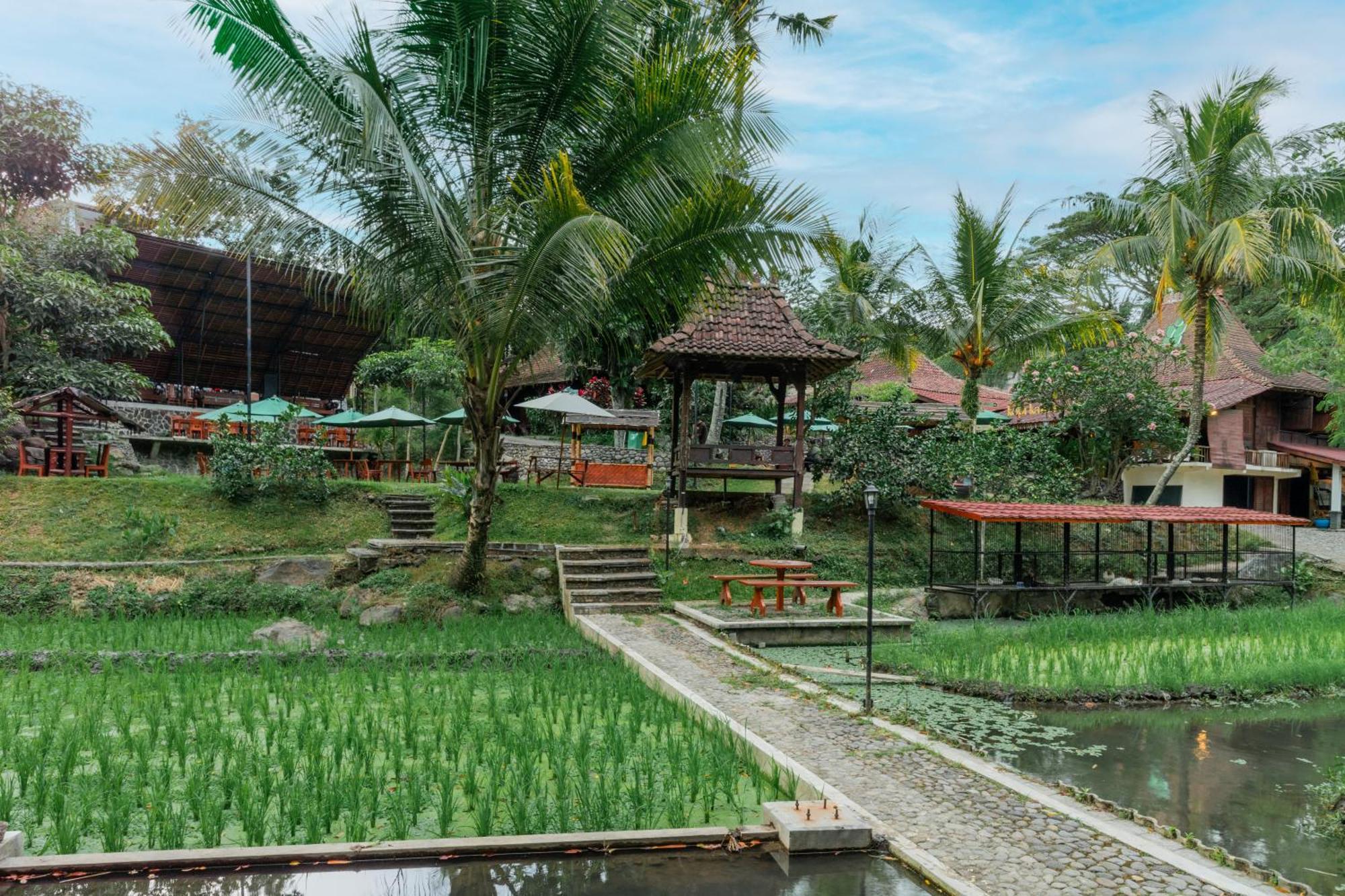 Padi Heritage Hotel Malang Zewnętrze zdjęcie